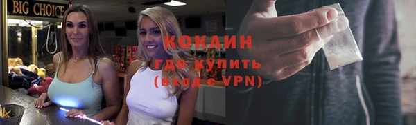 твердый Абаза